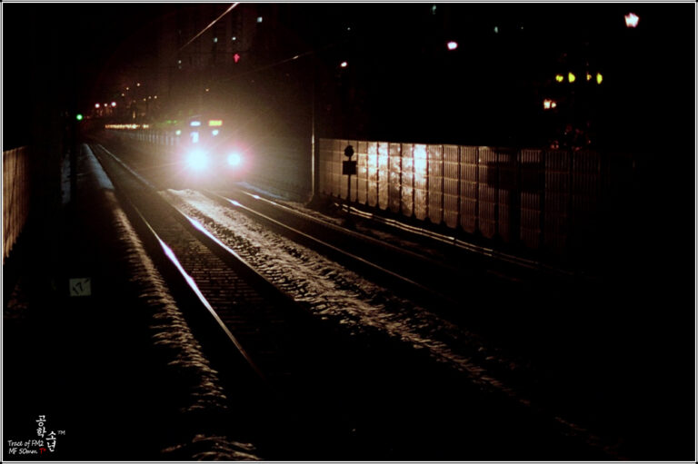 Nikon FM2 · Carl Zeiss Planar T* 50mm F1.4