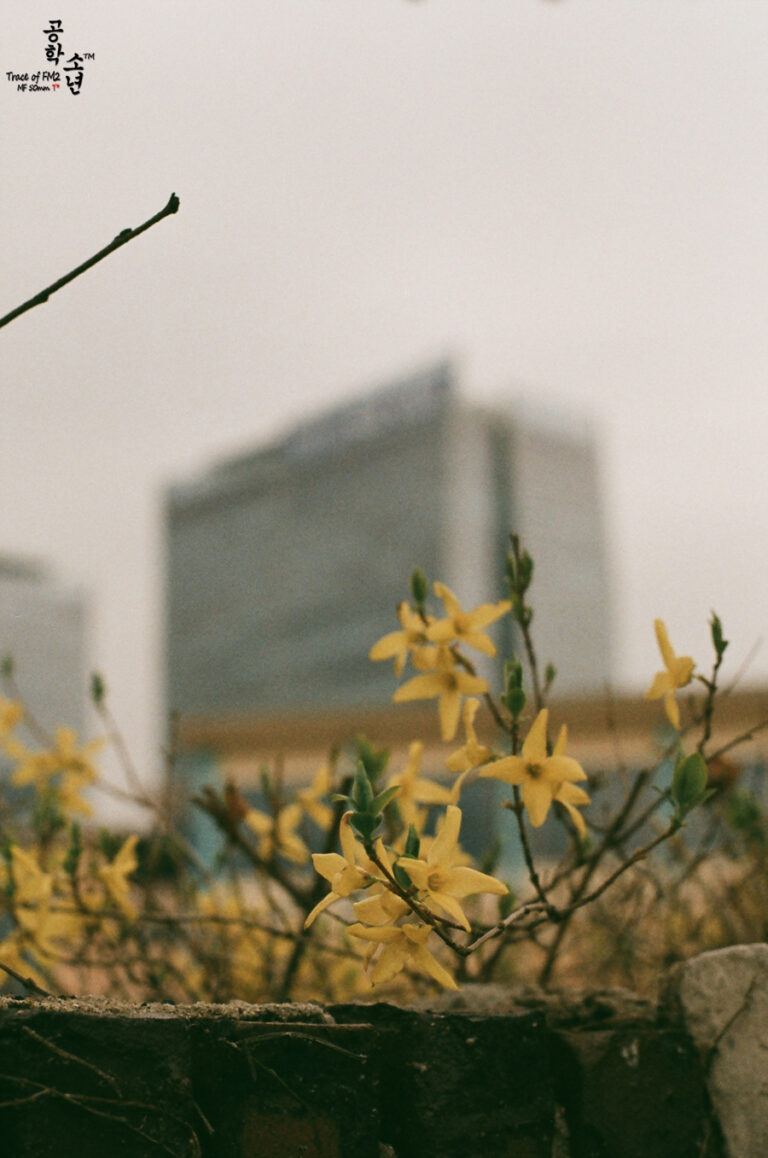 Nikon FM2 · Carl Zeiss Planar T* 50mm F1.4