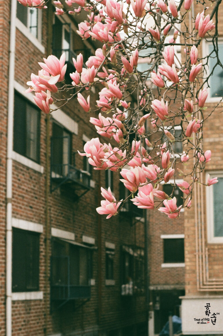 Nikon FM2 · Carl Zeiss Planar T* 50mm F1.4