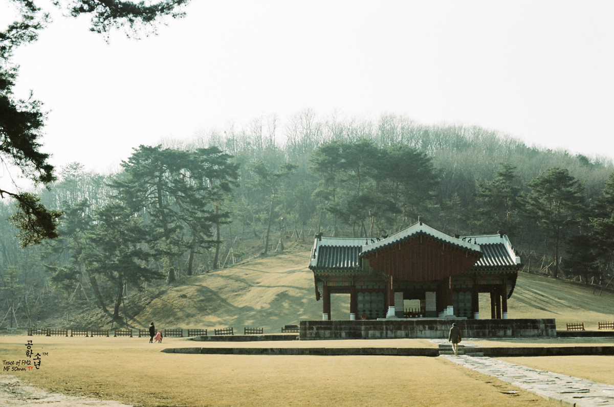 동구릉 사진 1