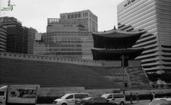 [TMAX/400] Yashica GSN 첫 자가현상