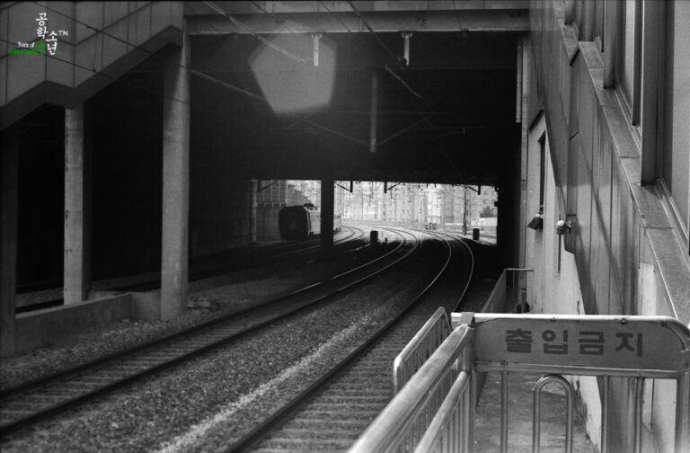 Yashica GSN · Yashinon