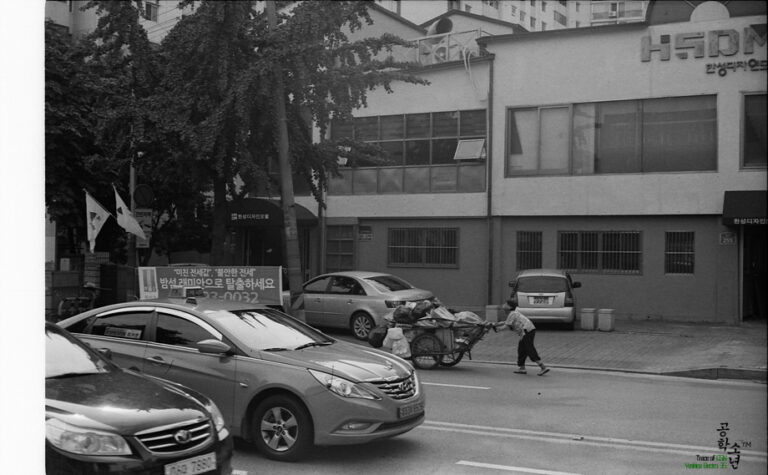 Yashica GSN · Yashinon
