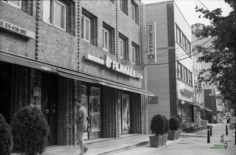 Yashica GSN · Yashinon