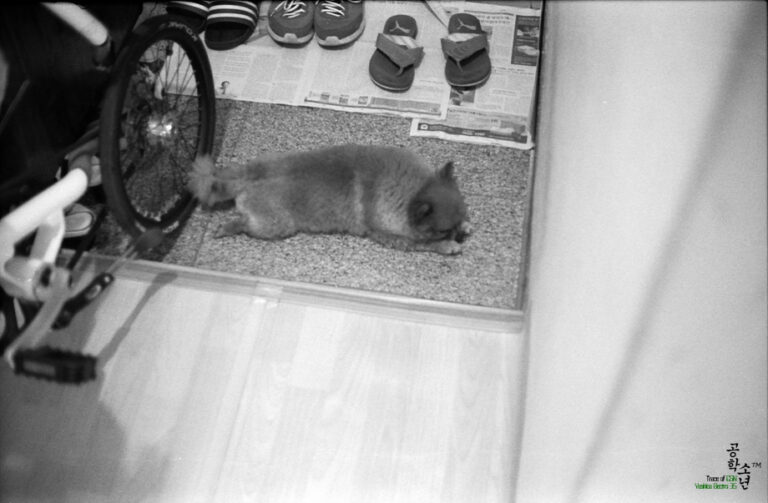 Yashica GSN · Yashinon