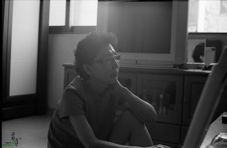 Yashica GSN · Yashinon