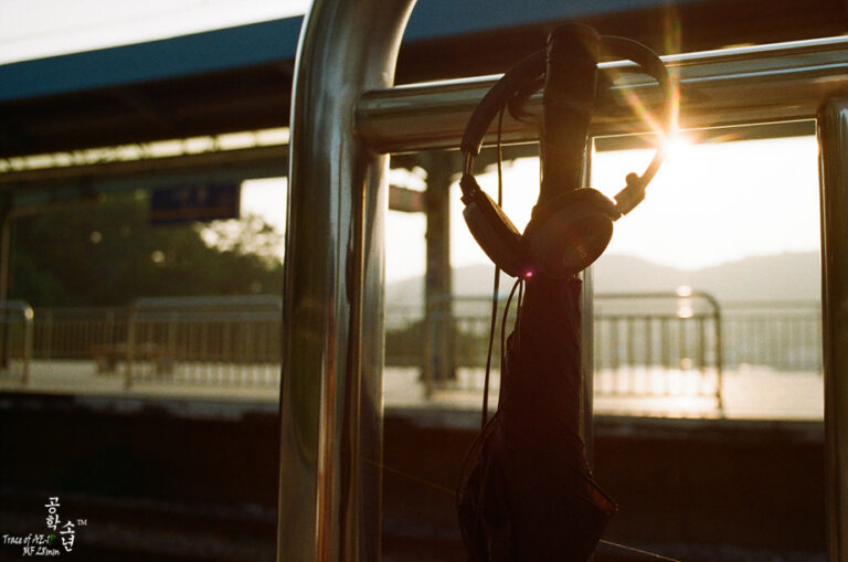 Canon AE-1 Program · Canon FD 28mm