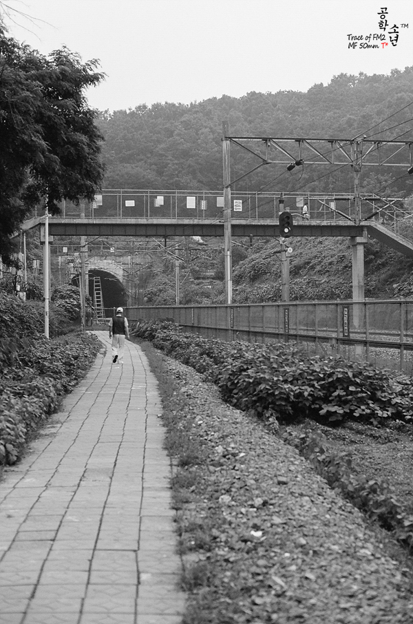 Nikon FM2 · Carl Zeiss Planar T* 50mm F1.4