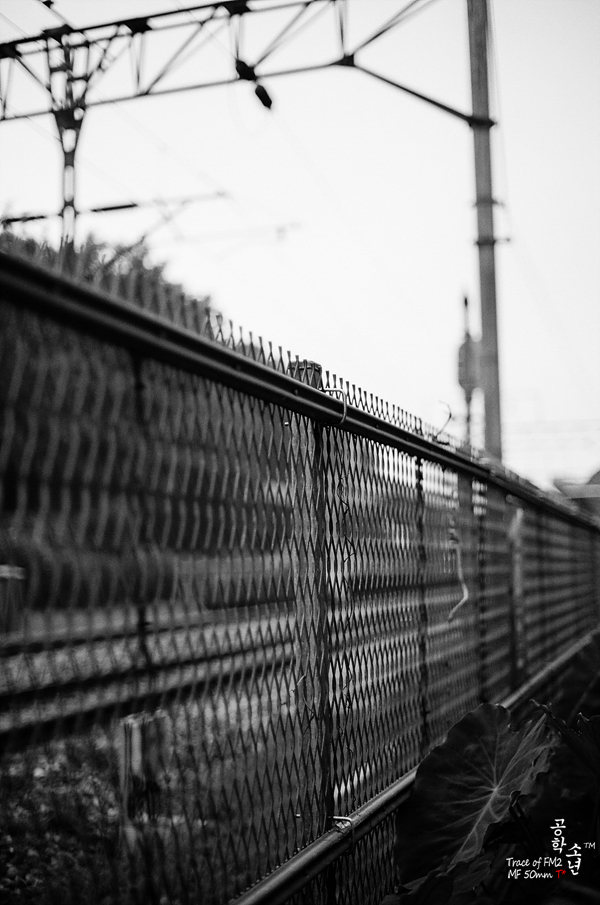 Nikon FM2 · Carl Zeiss Planar T* 50mm F1.4
