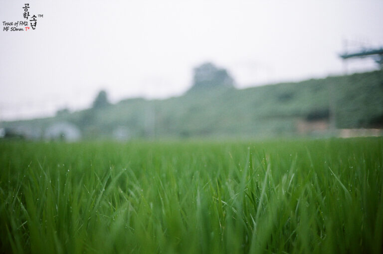 Nikon FM2 · Carl Zeiss Planar T* 50mm F1.4