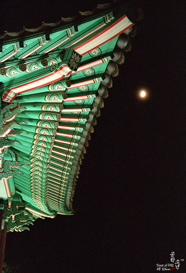 Nikon FM2 · Carl Zeiss Planar T* 50mm F1.4