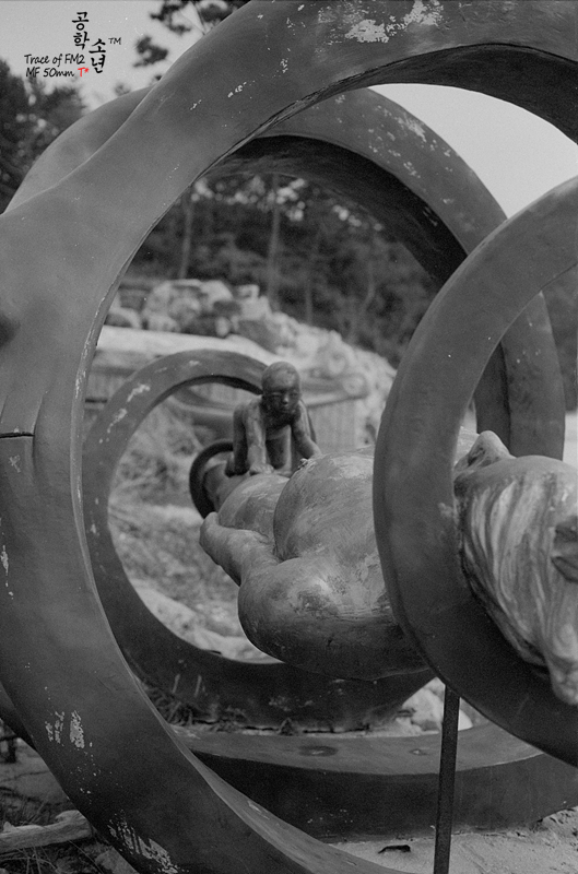 Nikon FM2 · Carl Zeiss Planar T* 50mm F1.4