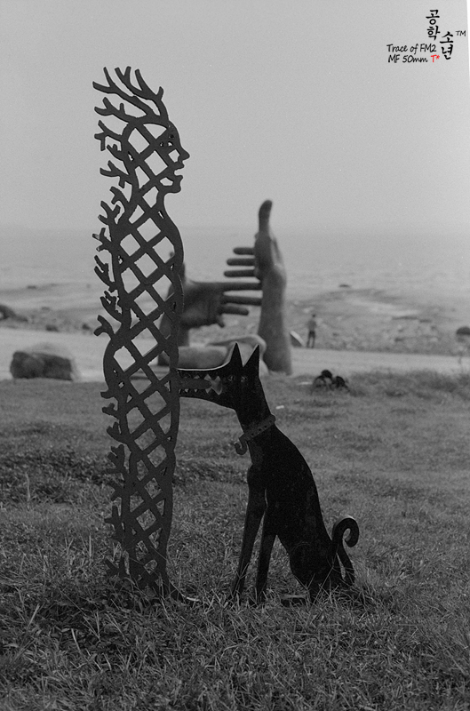 Nikon FM2 · Carl Zeiss Planar T* 50mm F1.4