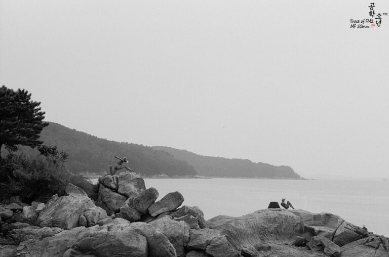 Nikon FM2 · Carl Zeiss Planar T* 50mm F1.4