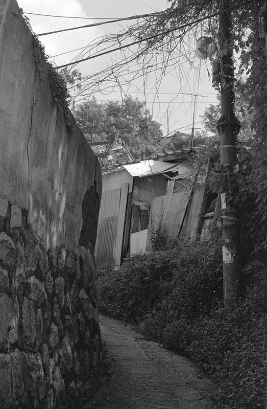 Nikon FM2 · Carl Zeiss Planar T* 50mm F1.4