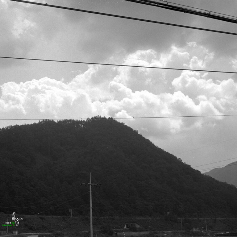 [TMAX100] 충북 제천으로 벌초하러…