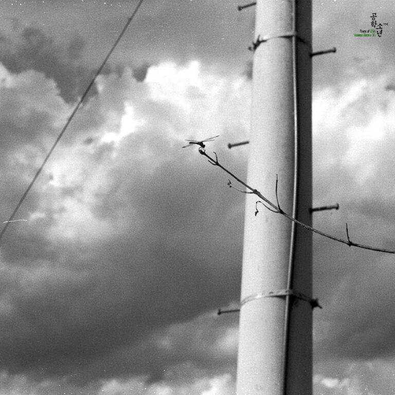 Yashica GSN · Yashinon