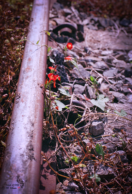 Nikon FM2 · Carl Zeiss Planar T* 50mm F1.4