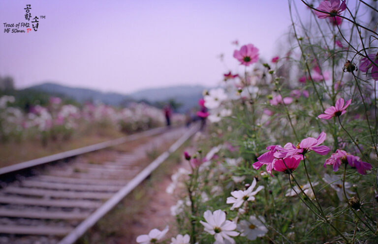 Nikon FM2 · Carl Zeiss Planar T* 50mm F1.4
