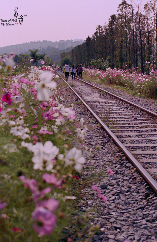 Nikon FM2 · Carl Zeiss Planar T* 50mm F1.4