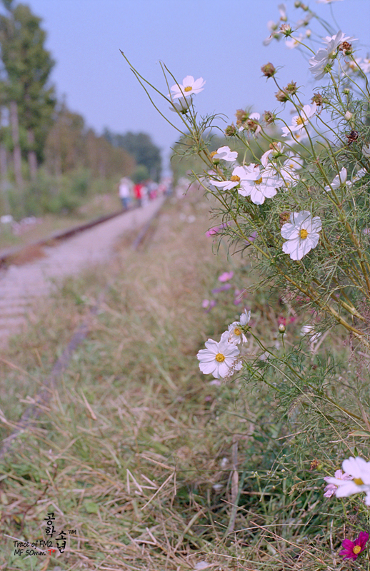 Nikon FM2 · Carl Zeiss Planar T* 50mm F1.4