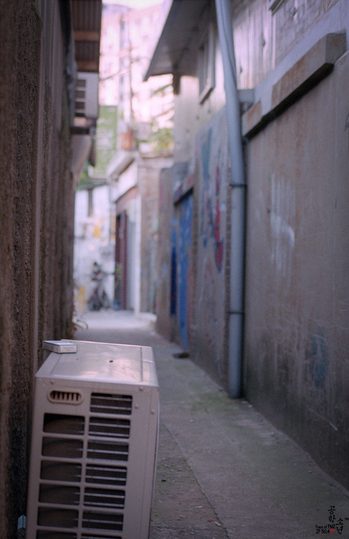 Nikon FM2 · Carl Zeiss Planar T* 50mm F1.4