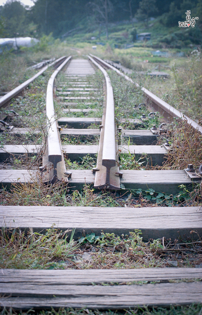 Nikon FM2 · Carl Zeiss Planar T* 50mm F1.4