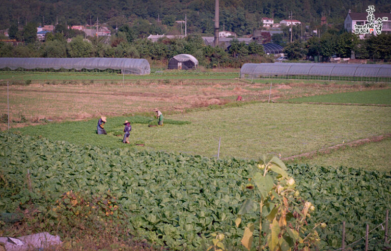Nikon FM2 · Carl Zeiss Planar T* 50mm F1.4