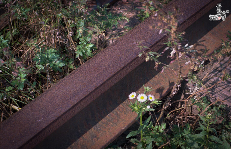 Nikon FM2 · Carl Zeiss Planar T* 50mm F1.4