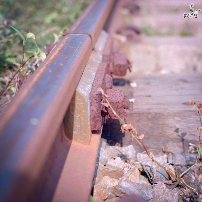 Nikon FM2 · Carl Zeiss Planar T* 50mm F1.4