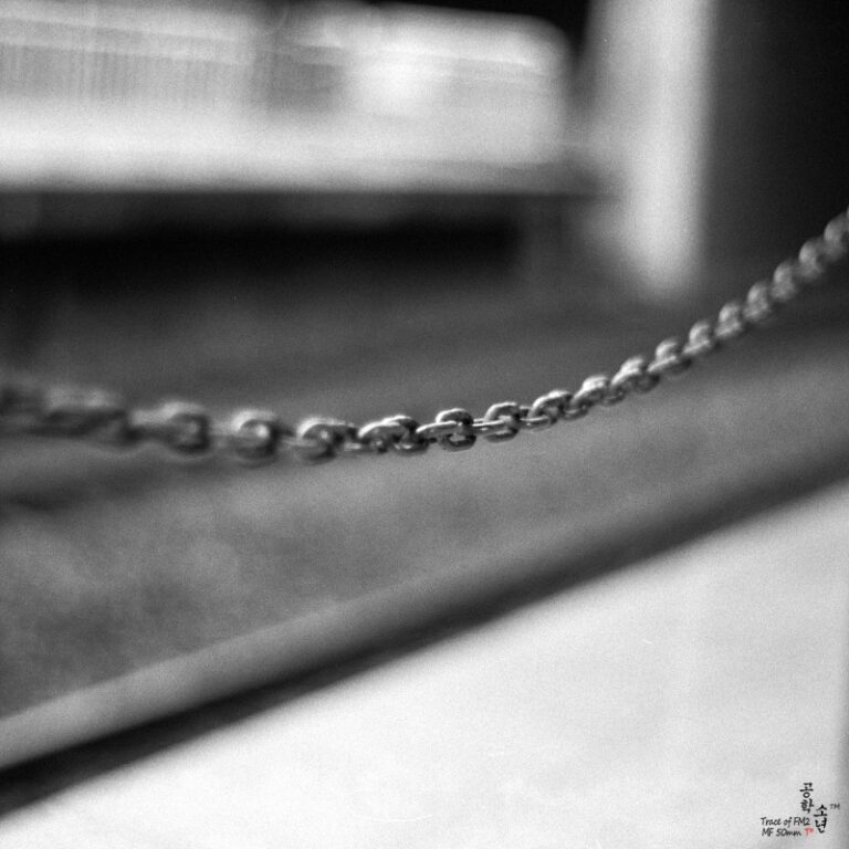 Nikon FM2 · Carl Zeiss Planar T* 50mm F1.4