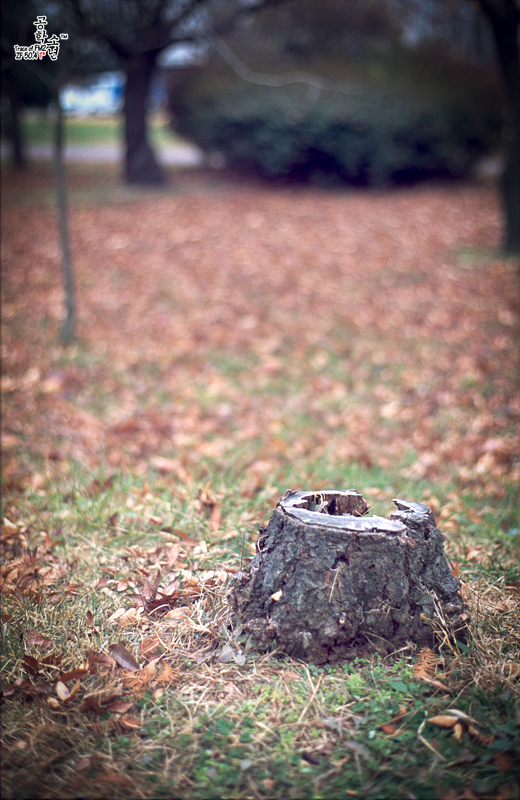 Nikon FM2 · Carl Zeiss Planar T* 50mm F1.4