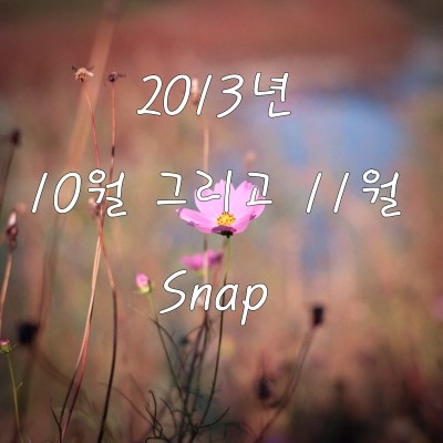2013.11 Snap 사진 1