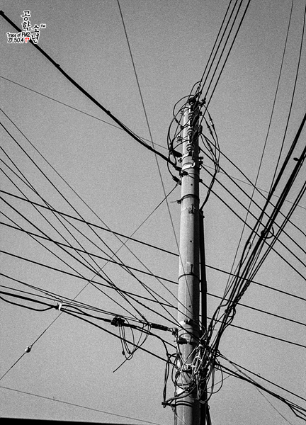 Nikon FM2 · Carl Zeiss Planar T* 50mm F1.4