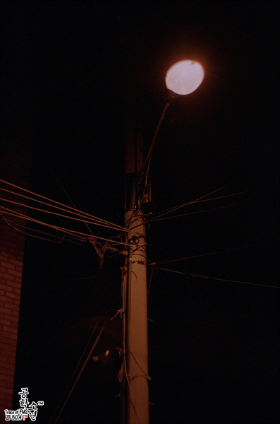 Nikon FM2 · Carl Zeiss Planar T* 50mm F1.4