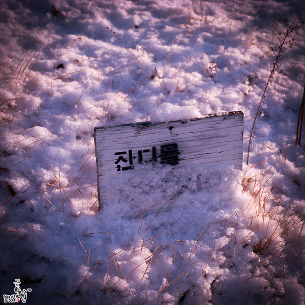 Nikon FM2 · Carl Zeiss Planar T* 50mm F1.4