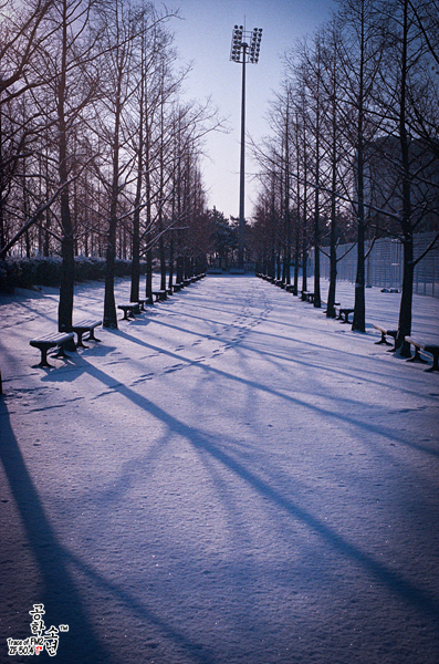 Nikon FM2 · Carl Zeiss Planar T* 50mm F1.4