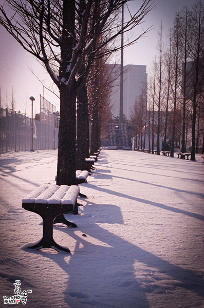 Nikon FM2 · Carl Zeiss Planar T* 50mm F1.4