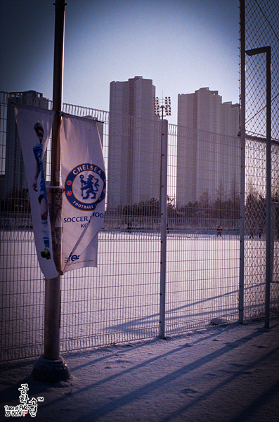 Nikon FM2 · Carl Zeiss Planar T* 50mm F1.4