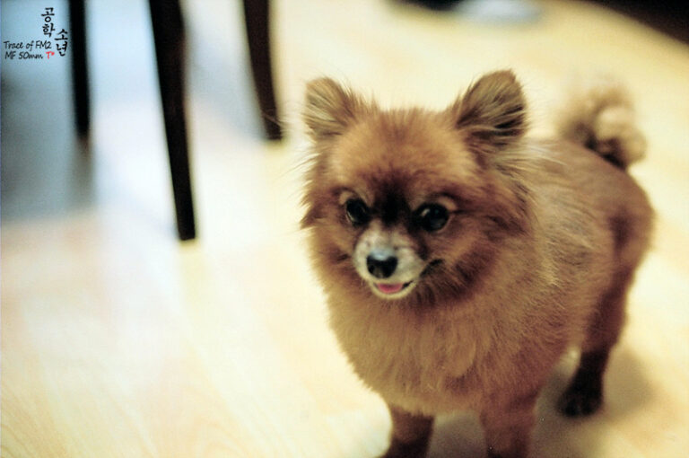 Nikon FM2 · Carl Zeiss Planar T* 50mm F1.4