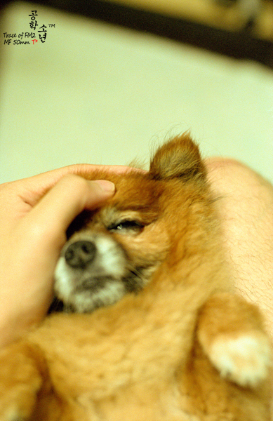 Nikon FM2 · Carl Zeiss Planar T* 50mm F1.4