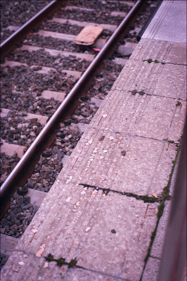 Nikon FM2 · Carl Zeiss Planar T* 50mm F1.4