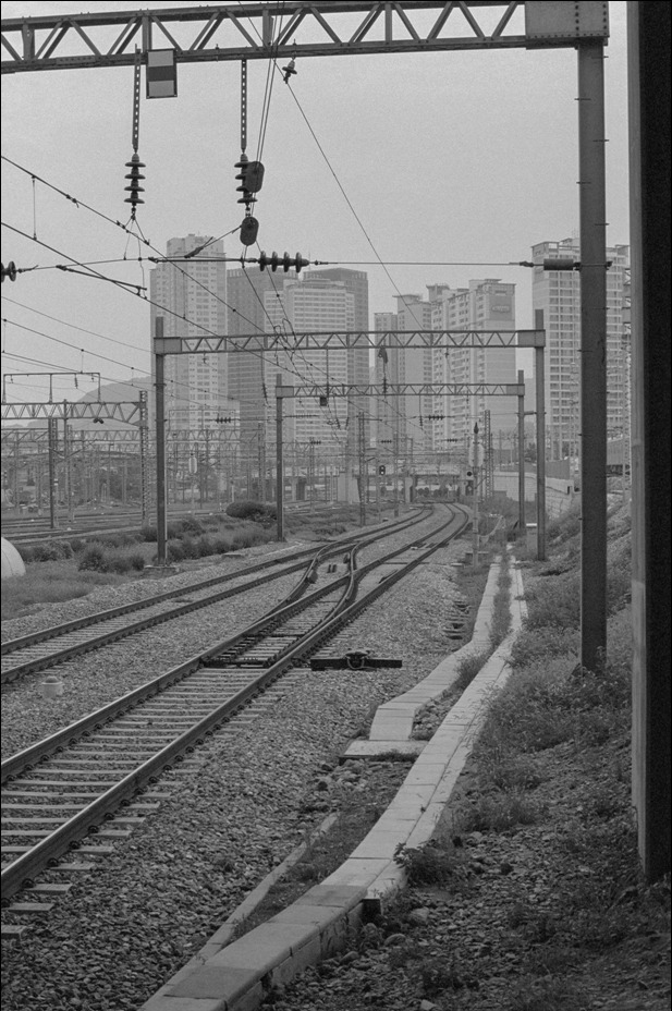Nikon FM2 · Carl Zeiss Planar T* 50mm F1.4
