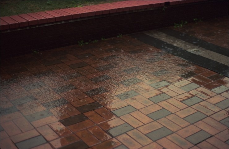 Nikon FM2 · Carl Zeiss Planar T* 50mm F1.4