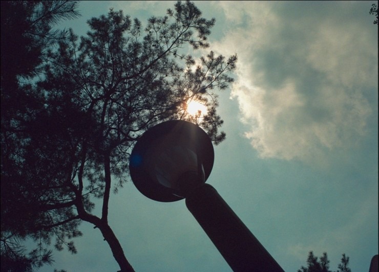 Nikon FM2 · Carl Zeiss Planar T* 50mm F1.4