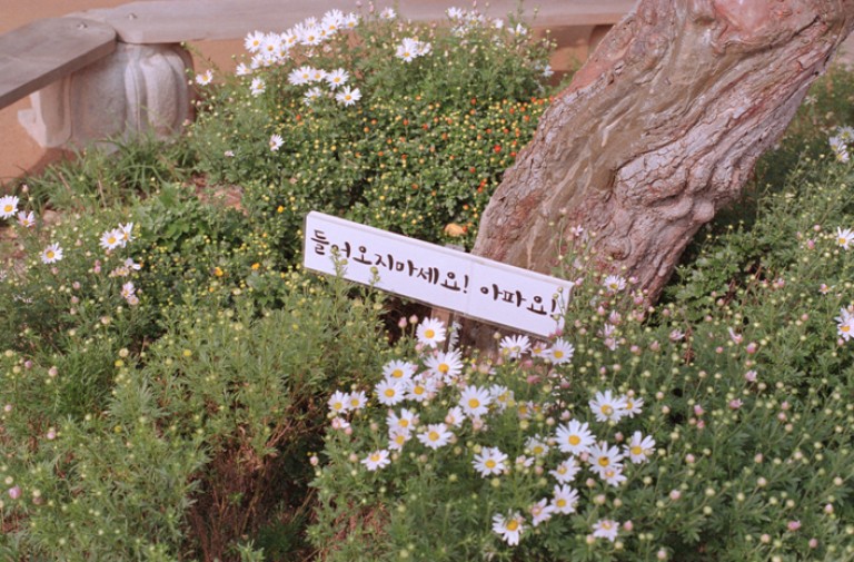 Nikon FM2 · Carl Zeiss Planar T* 50mm F1.4