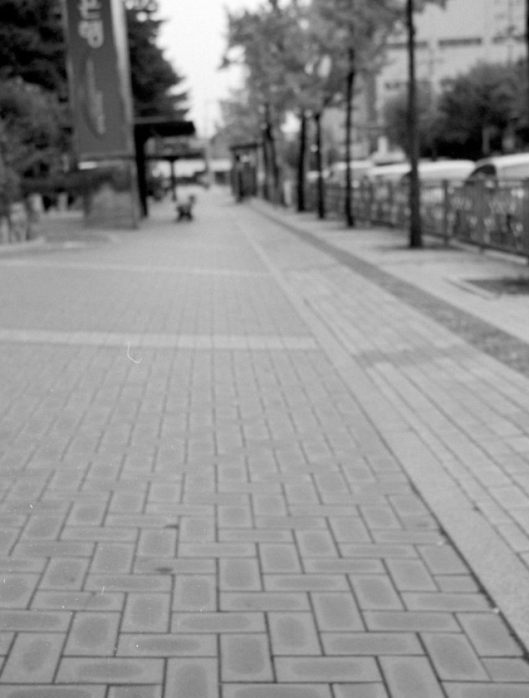 Rollei 35 · Carl Zeiss Tessar 40mm F3.5