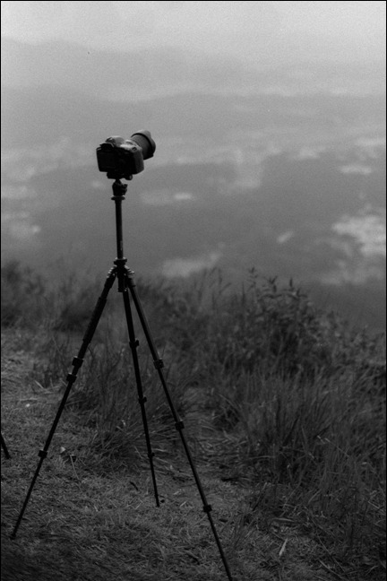 Rollei 35 · Carl Zeiss Tessar 40mm F3.5