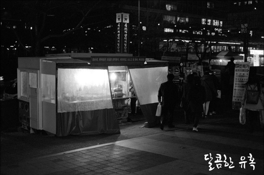 벚꽃은 지나가고 사진 3