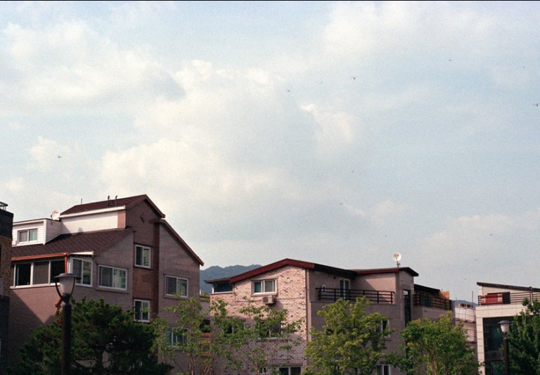 Nikon FM2 · Carl Zeiss Planar T* 50mm F1.4